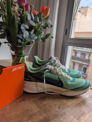 Nike Air Zoom Verde/Azul pegasus 41