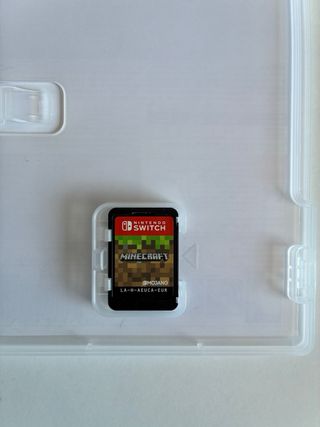 Minecraft Nintendo Switch