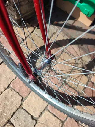 Bicicleta Trek Roja antigua. Funciona bien.