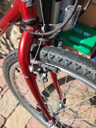 Bicicleta Trek Roja antigua. Funciona bien.