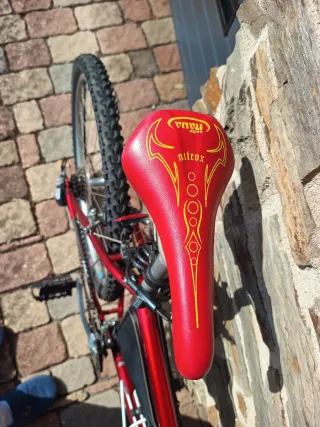 Bicicleta Trek Roja antigua. Funciona bien.