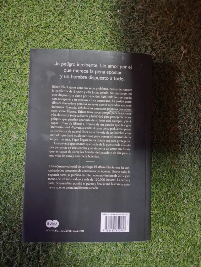 Todo o nada (El affaire Blackstone 2)