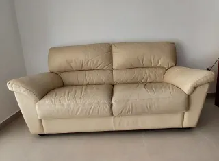 SOLO HASTA FINAL DE MARZO. ÚLTIMO PRECIO. Sofá de