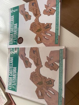 Lengua Castellana y Literatura, 2 Bach, Proyect...