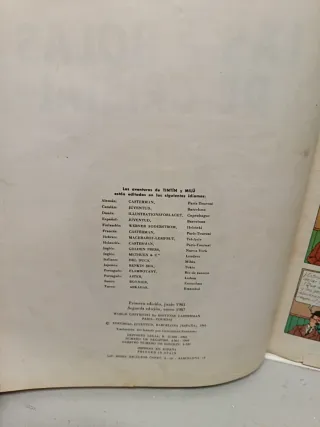 Lote comics Tintín,Astérix,Lucky Luke