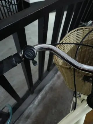 Bicicleta Megamo Trivia Vintage