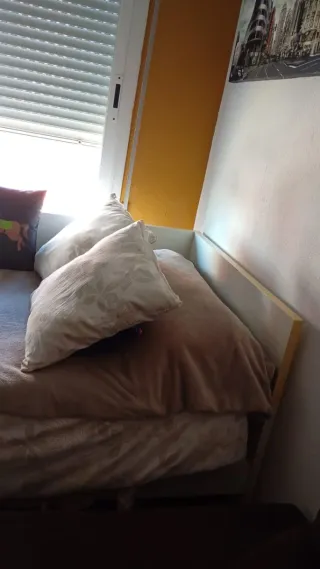 Estructura de cama + colchón