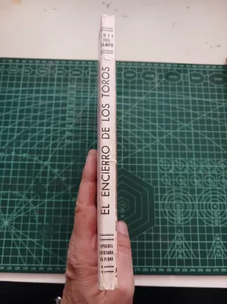 El encierro de los toros