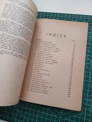 El encierro de los toros