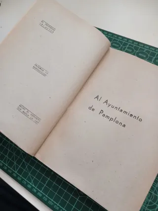 El encierro de los toros