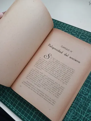 El encierro de los toros