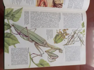 Colección de libros Que sabes...