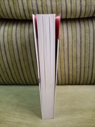 EL  HOMBRE  DUPLICADO