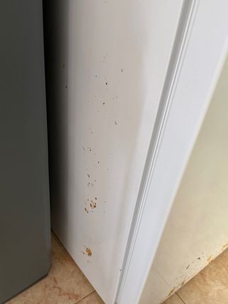 Nevera Icecool Blanca