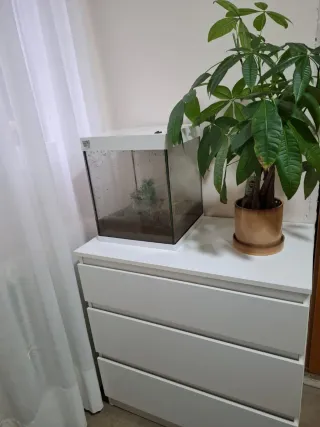 Diván blanco madera pino con cajones,largo 2.15