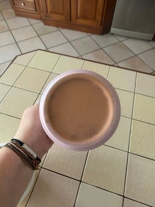 Set 2 Vasi Ceramica Rosa Bianco