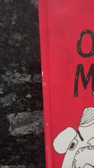 Lote libros lectura en Gallego