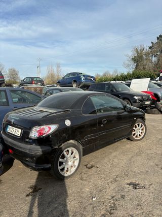 Despiece Peugeot 206 Cabrio Coupe 2002