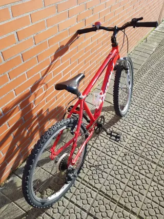Bicicleta 24 pollici