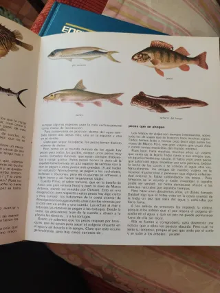 Enciclopedia Infantil Carrogio - Colección Complet