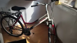 Bicicleta de montaña Globe Trotter de 26'