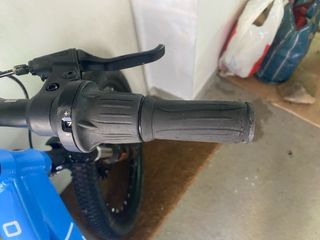 Bicicleta Infantil Rali 20 Azul