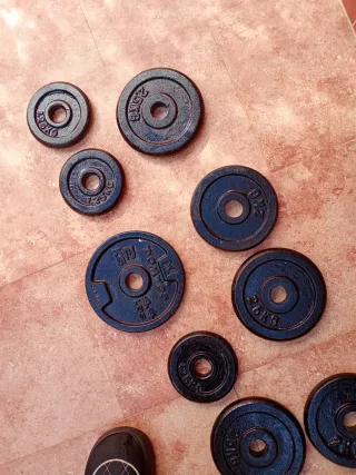 Pesas de gimnasio (varios pesos)