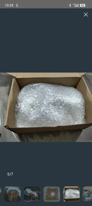 Disco de Kombucha + Líquido Iniciador