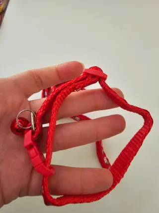 Set Collare e Guinzaglio Gatto Rosso