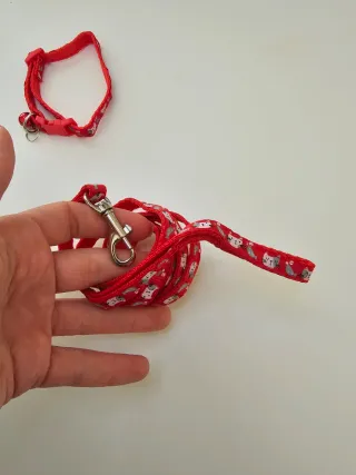Set Collare e Guinzaglio Gatto Rosso