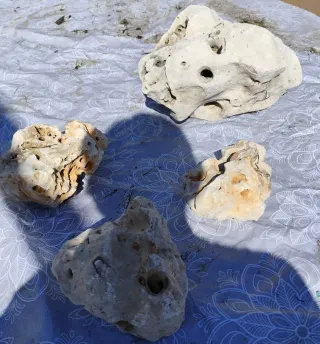6 rocas decorativas para jardín