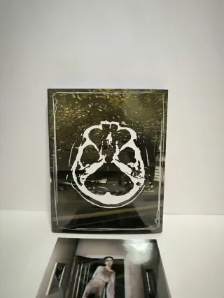 Funda P.T. PS4 (PlayStation 4) Plastificada