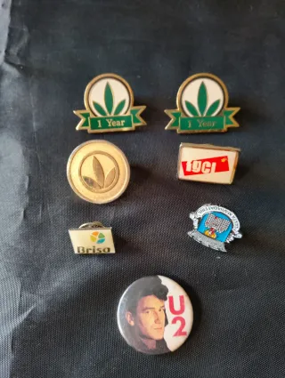 Diversos pins de lapela