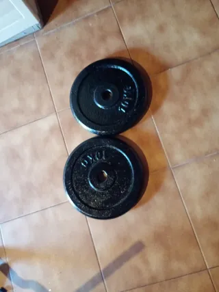 2 Discos de Pesas 10kg