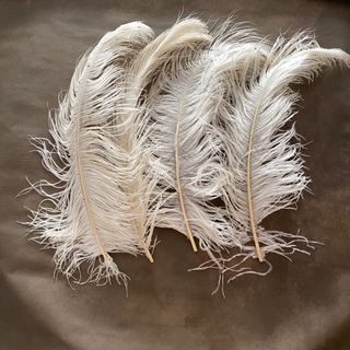 16 Plumas de Avestruz Blancas