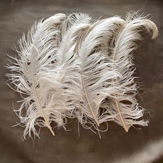 16 Plumas de Avestruz Blancas