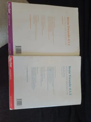 BESTE FREUNDE A1.1 AB + CD-Audio