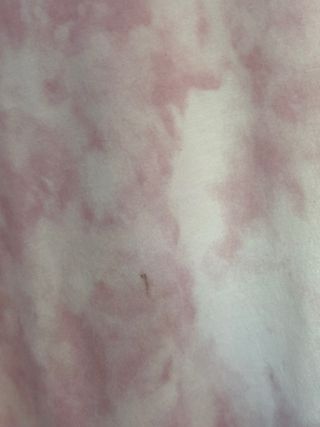 Lote 13 camisetas mujer / 10€ todas