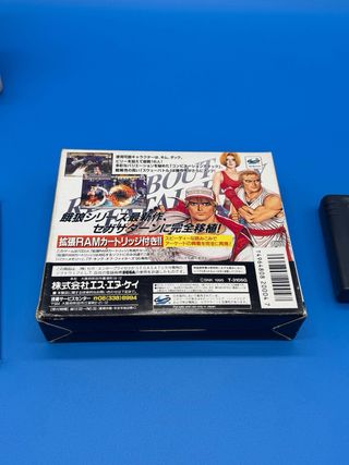 Real Bout Sega Saturn