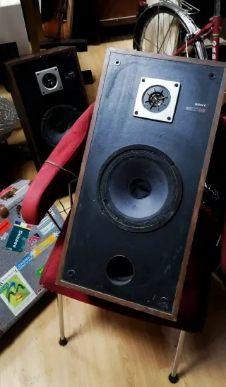 SALDO Altavoces SONY SS-C60 Vintage