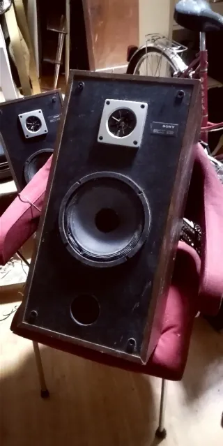 SALDO Altavoces SONY SS-C60 Vintage