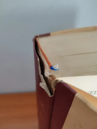 Cervantes Don Quijote