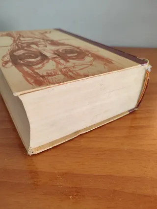 Cervantes Don Quijote