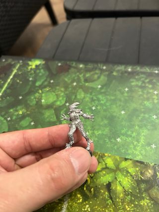 Elfos Silvanos Blood Bowl Miniaturas