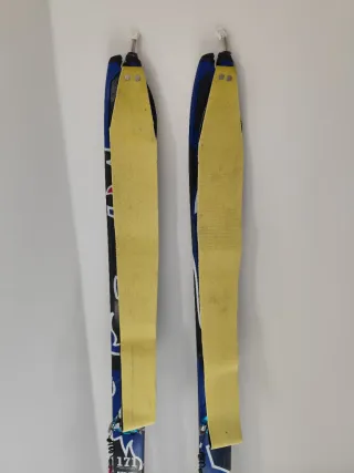 Esquís Dynafit Seven Summit 171