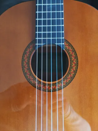 Guitarra Española Yamaha C40