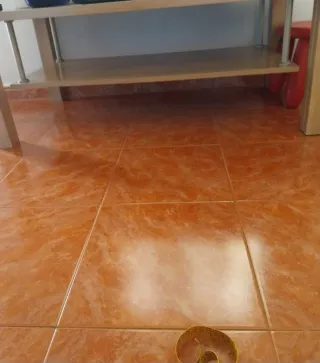 Tavolo da centro in legno e vetro