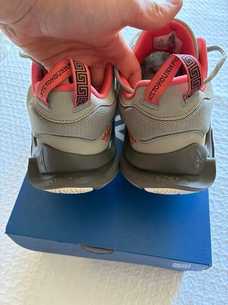 Nike Giannis Inmortality 2 Gris/Rosa