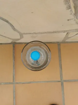 Jarrón de cristal transparente