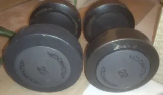 Mancuernas Technogym 22kg (Par)